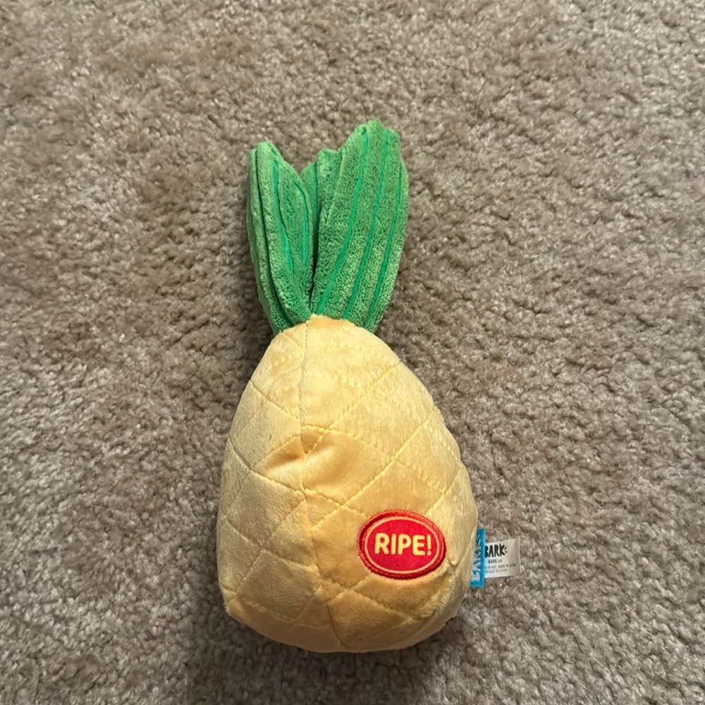 Barkbox pineapple toy